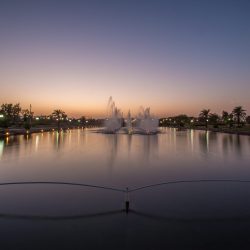 IMG_20240308_203157_839