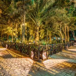 IMG_20240308_203157_874